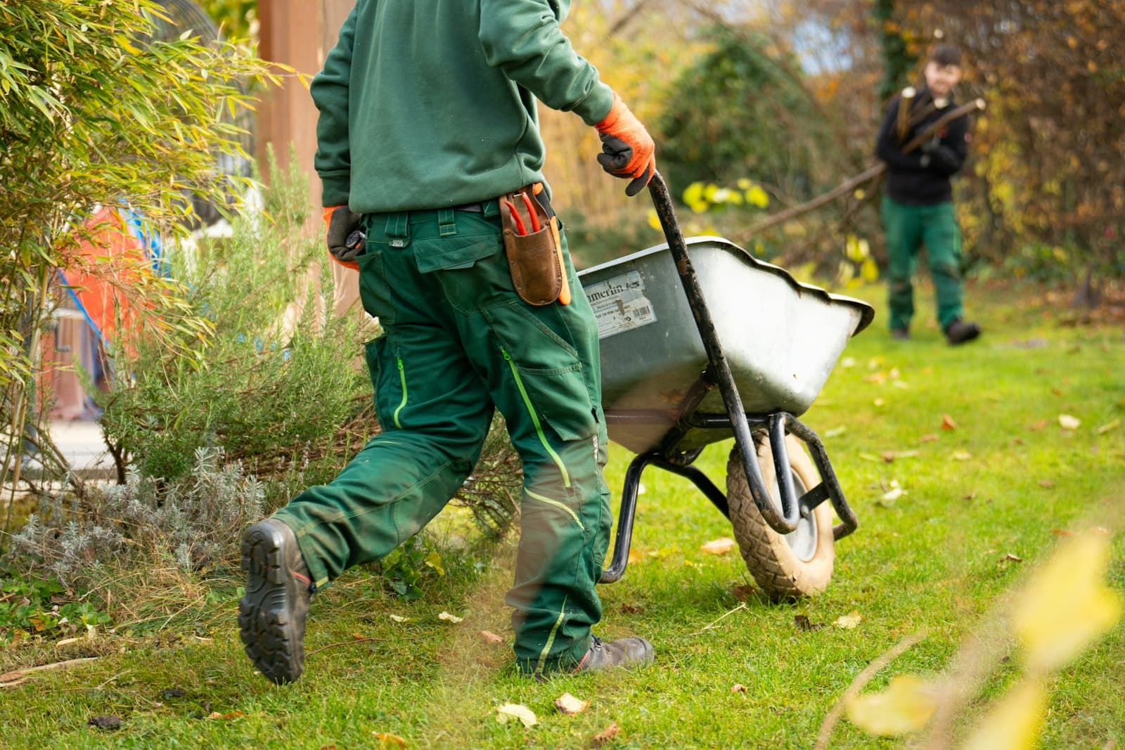 A landscaping crew moving a wheelbarrow through a garden